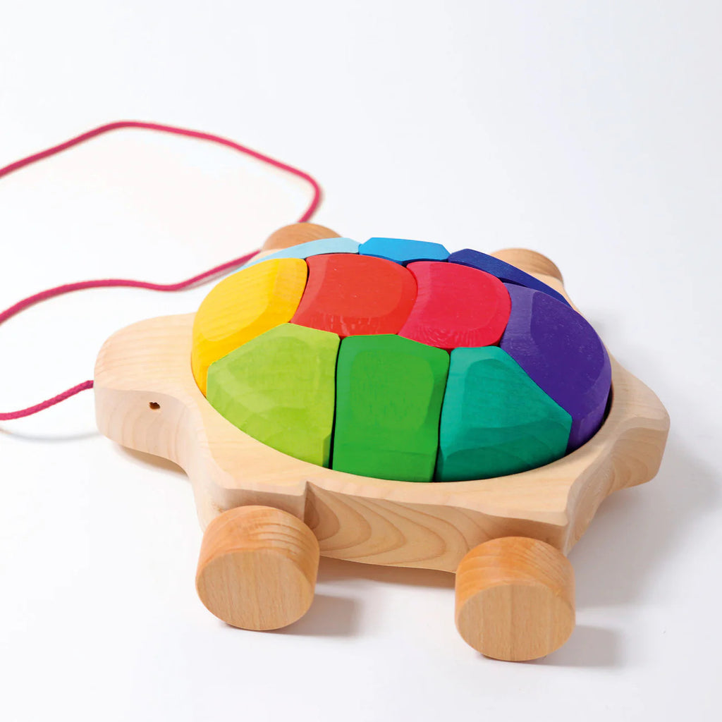 Grimms Rainbow Turtle
