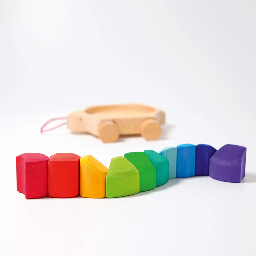 Grimms Rainbow Turtle