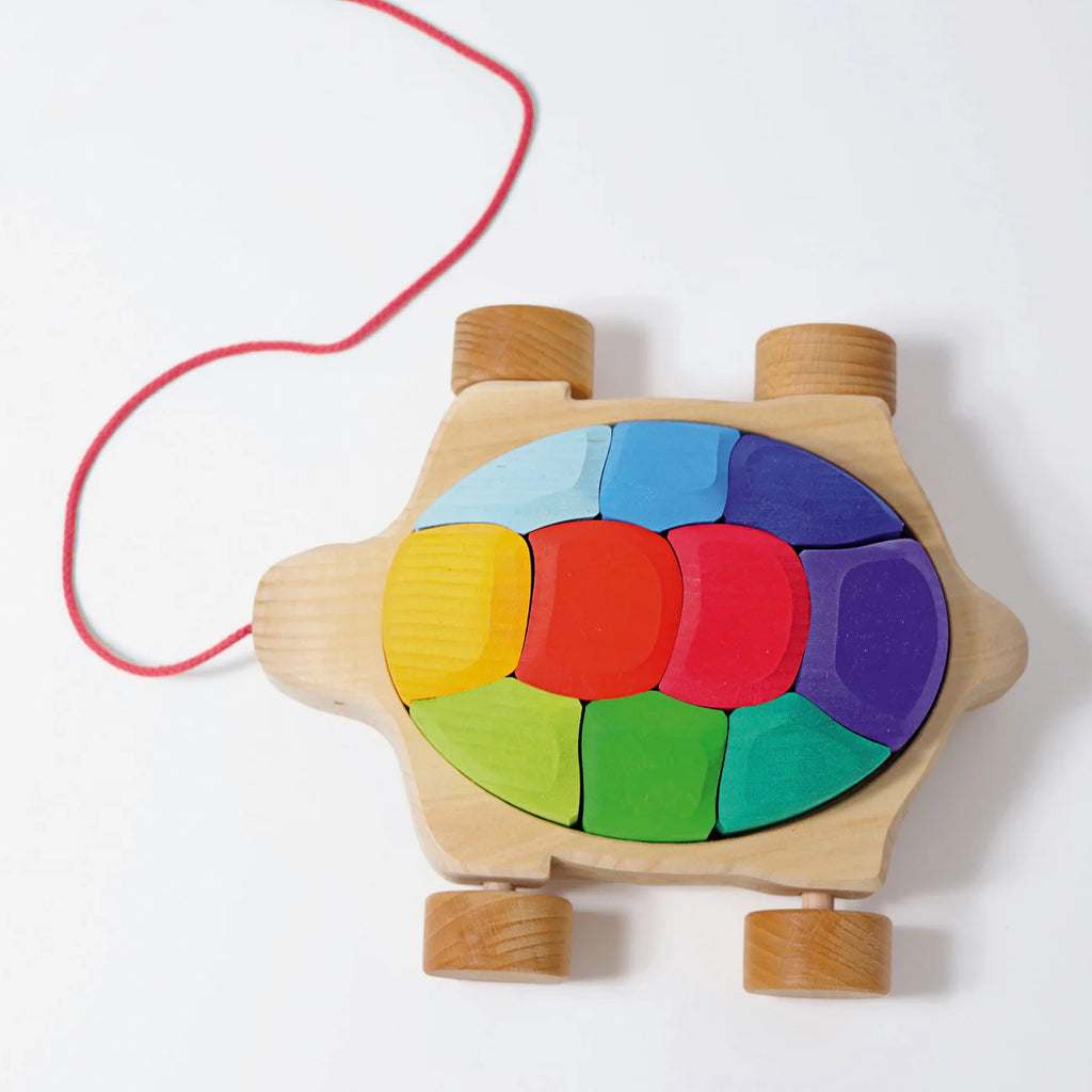 Grimms Rainbow Turtle