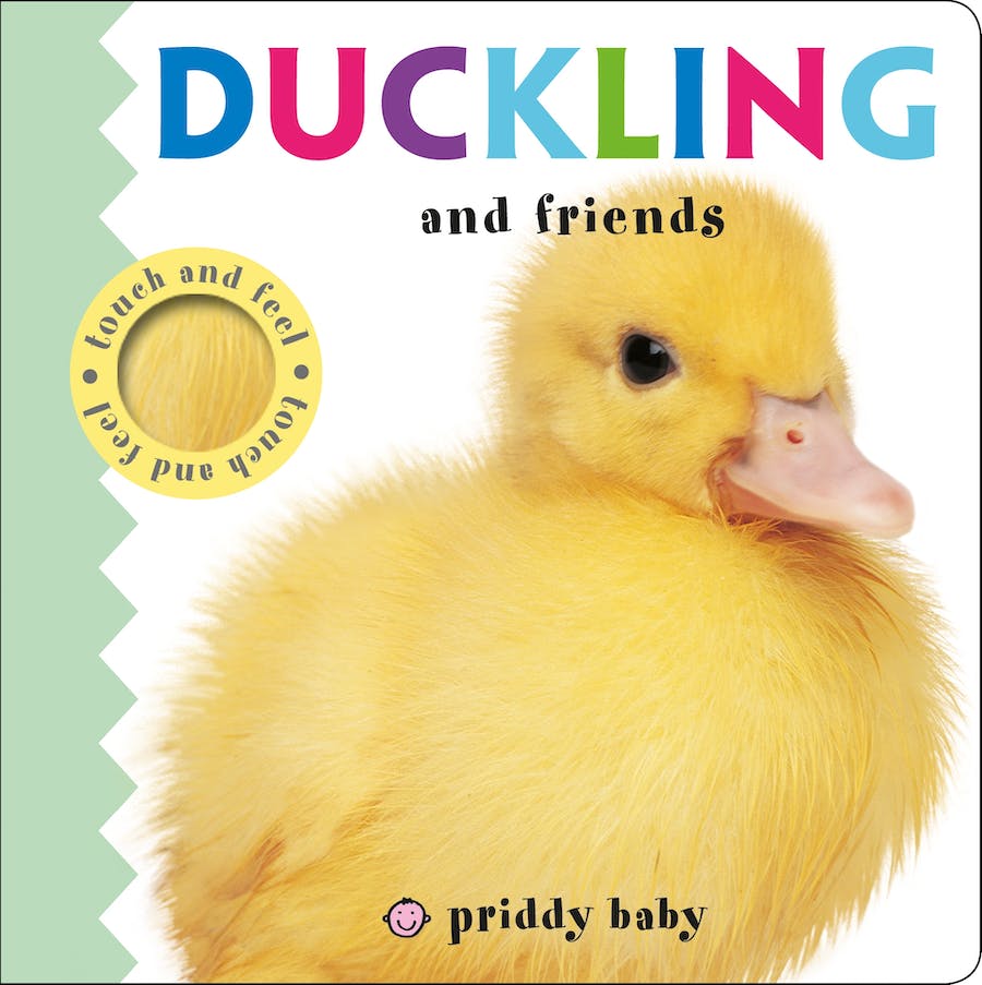 Duckling and Friend Touch & Feel Book