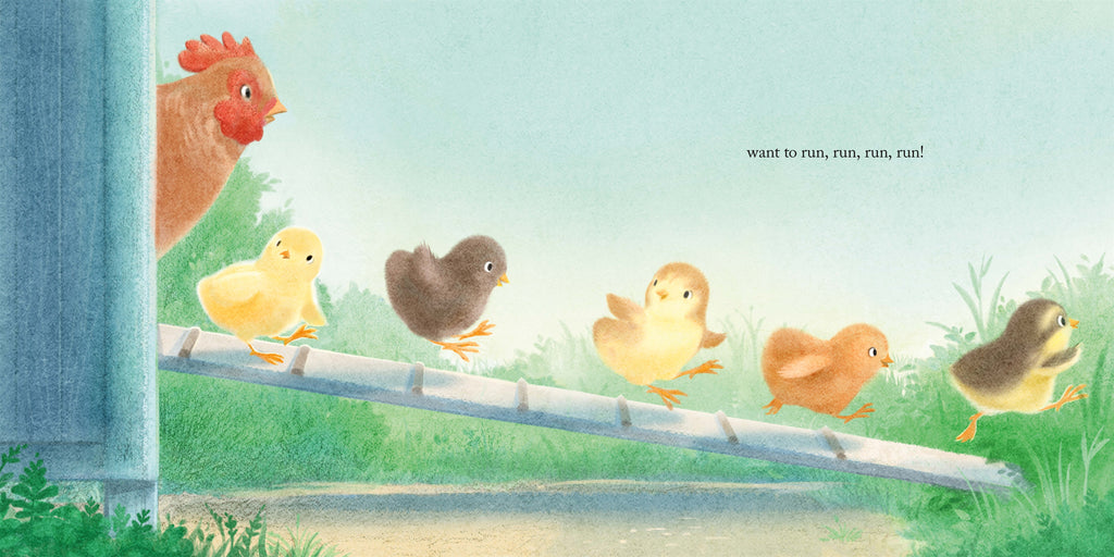 Five Fuzzy Chicks Hardcover Book