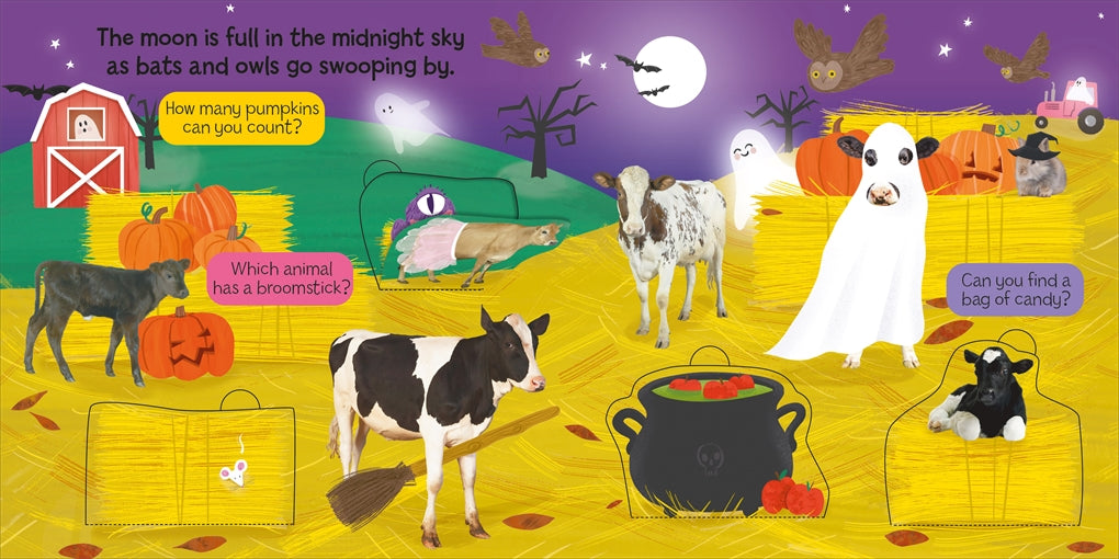 Halloween on the Farm Board Book
