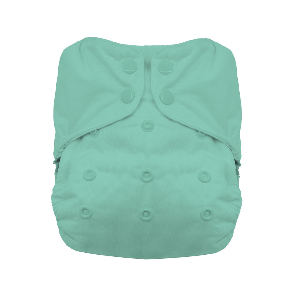 Thirsties Snap Natural One-Size AIO Diaper