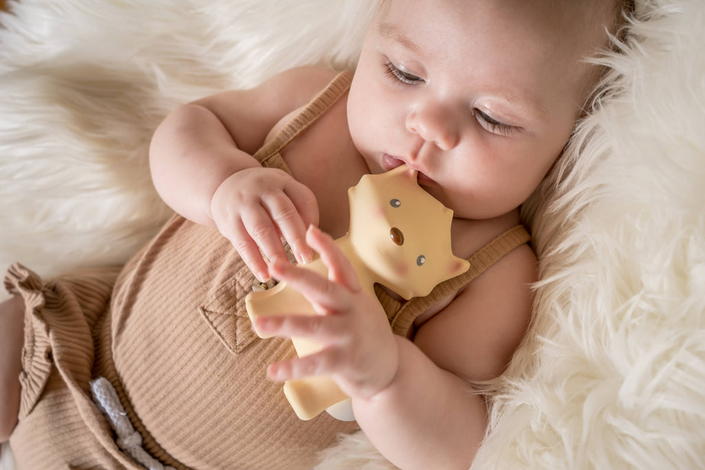 Arctic Fox - Natural Rubber Teether