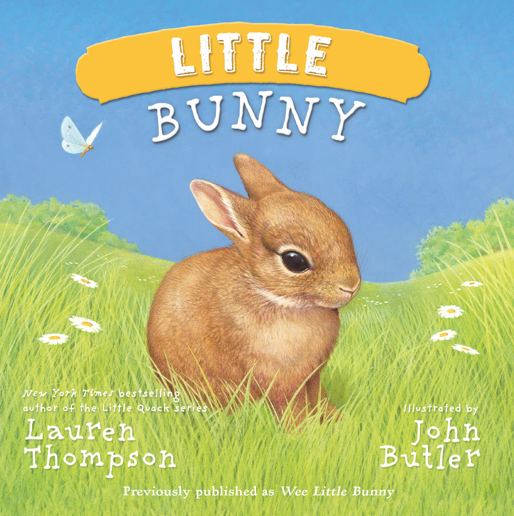 Little Bunny - Board Book
