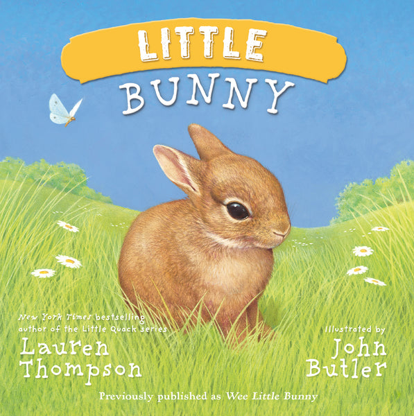 Little Bunny - Board Book – Sterling & Me