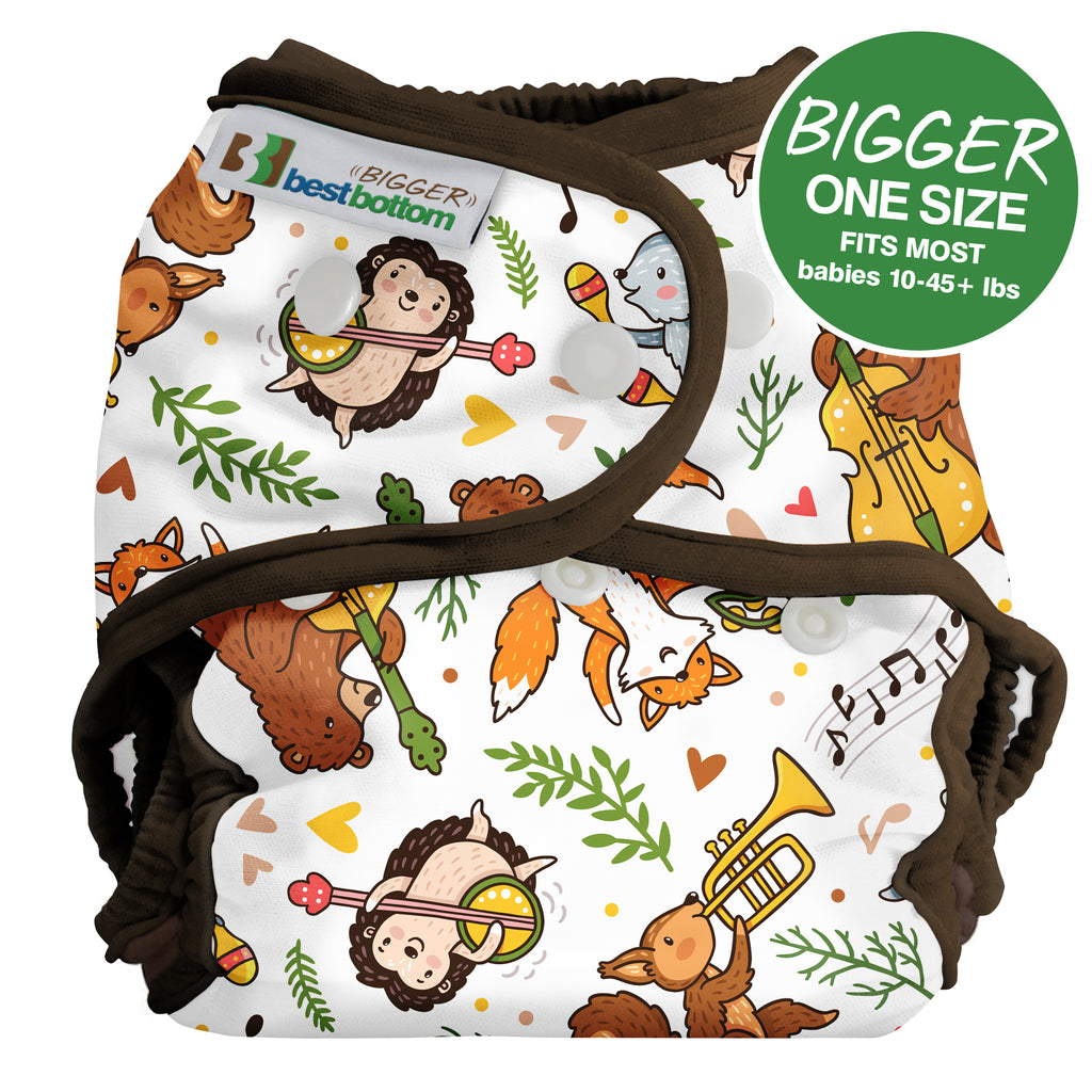 Best Bottom Diapers - Snap Closure