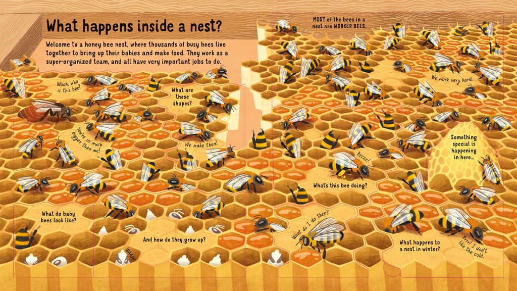 Look Inside: The World of Bees