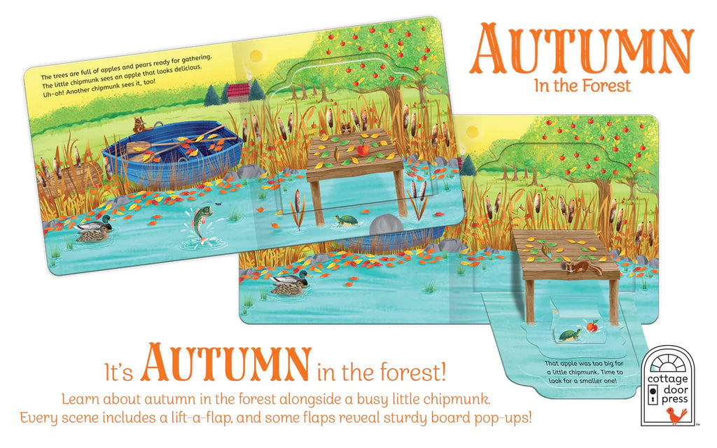 Autumn In The Forest: Lift A Flap Book
