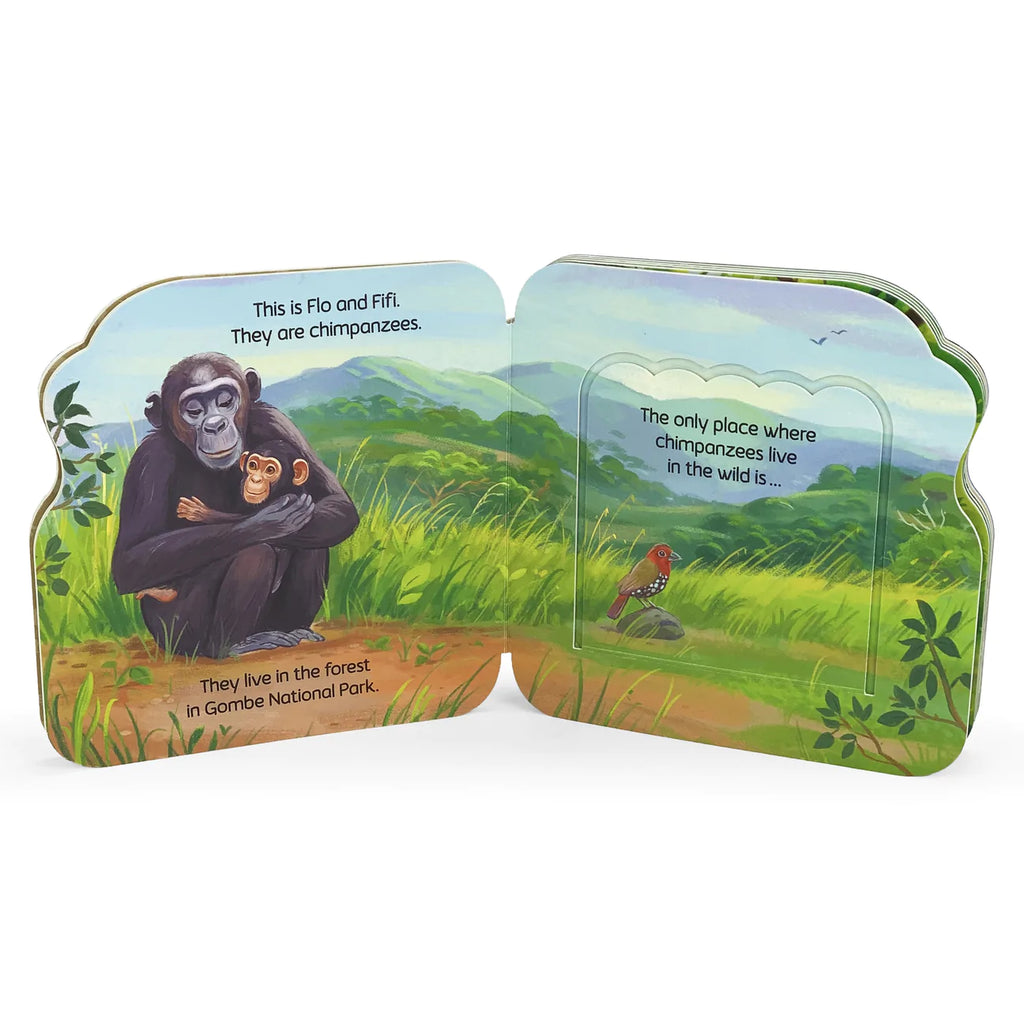 Chimpanzees: Jane & Me Book