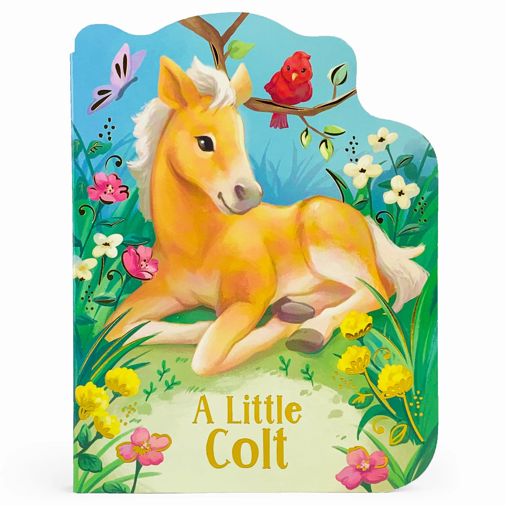 A Little Colt: Board Book